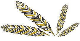 Feathers decoration