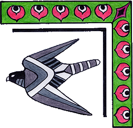 Hawk image