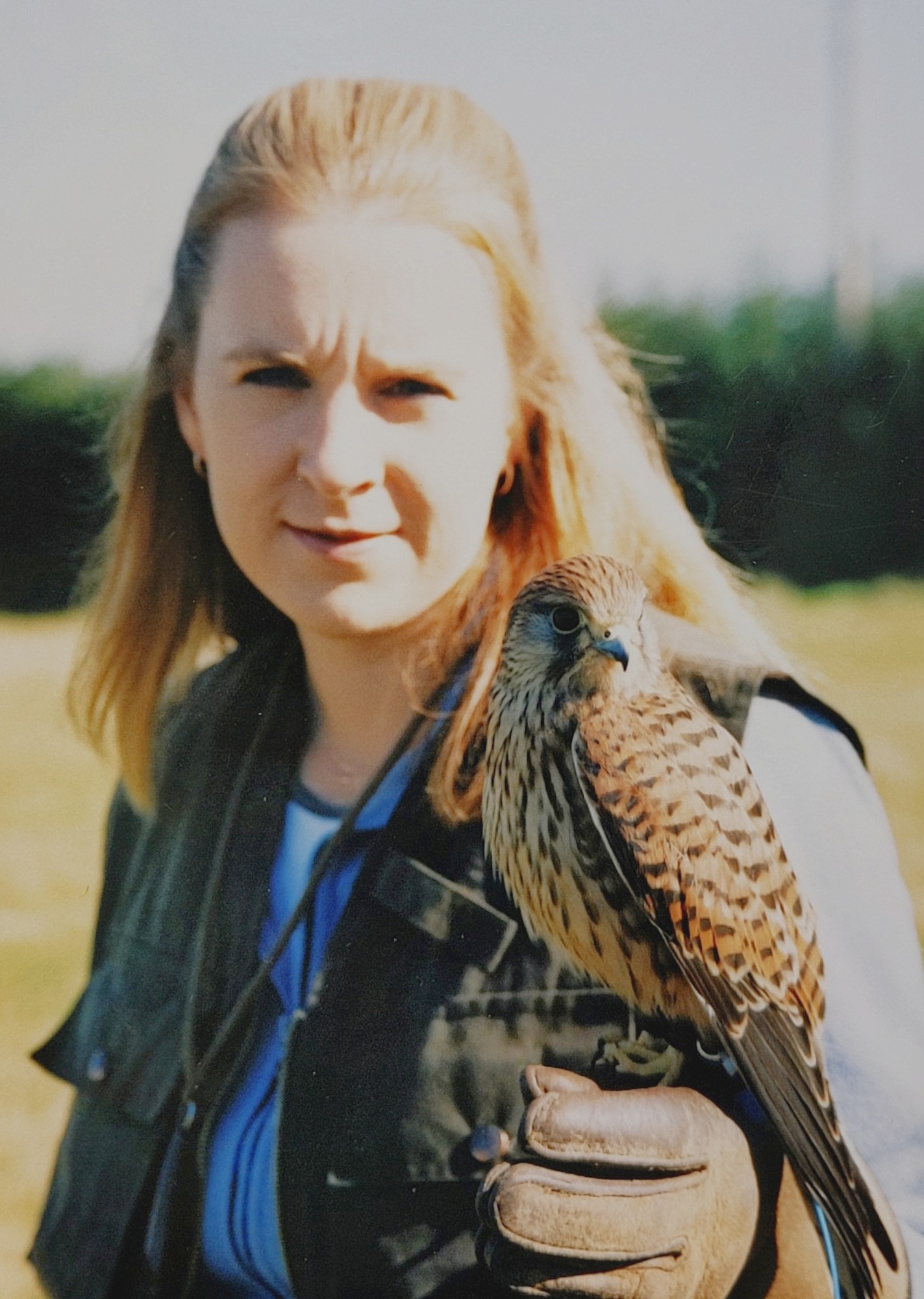 The Life of an Extraordinary Kestrel by Emma Raphael